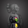 Тело Bearbrick