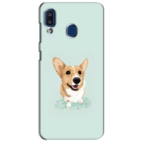 Чехлы с собаками для Samsung Galaxy a20 2019 (A205F) (VPrint) – Корги