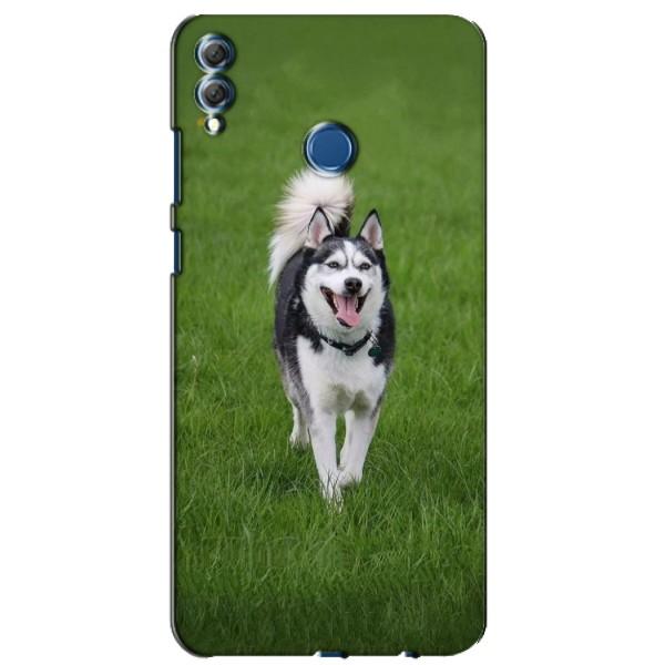 Чехол с Хаски для Huawei Honor 8X Max - (AlphaPrint) – Радостный Хаски