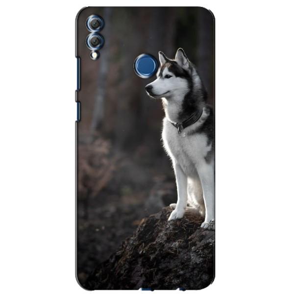 Чехол с Хаски для Huawei Honor 8X Max - (AlphaPrint) – Верный пес