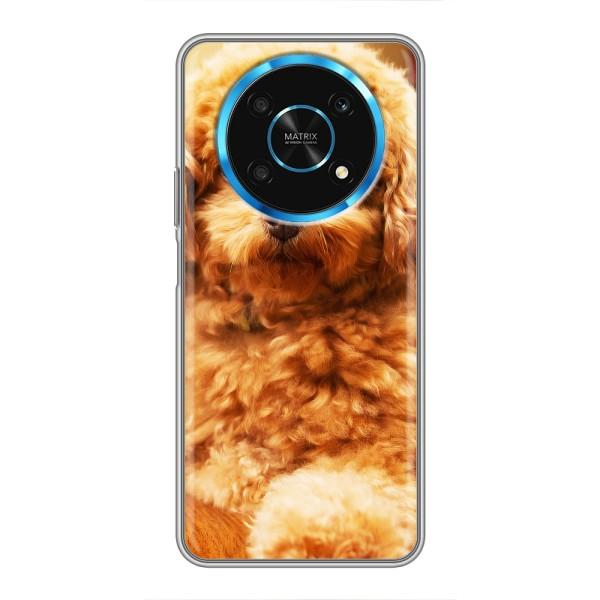 Чехлы с собаками для Huawei Honor Magic 5 Lite 5G (VPrint) – Щенок Бишон