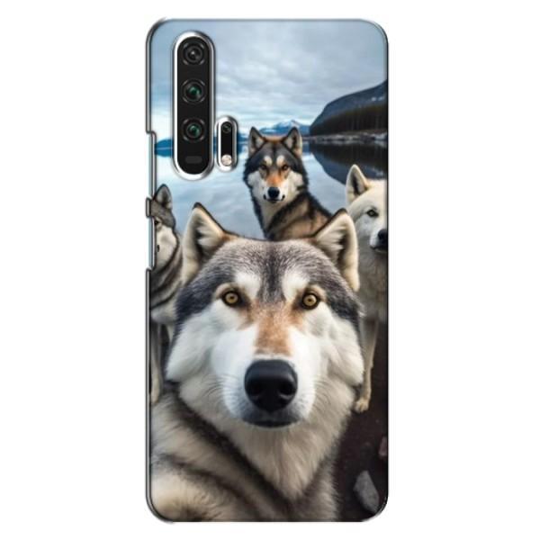 Чохол з Хаскі Huawei Honor 20 Pro - (AlphaPrint) – Селфі Хаскі