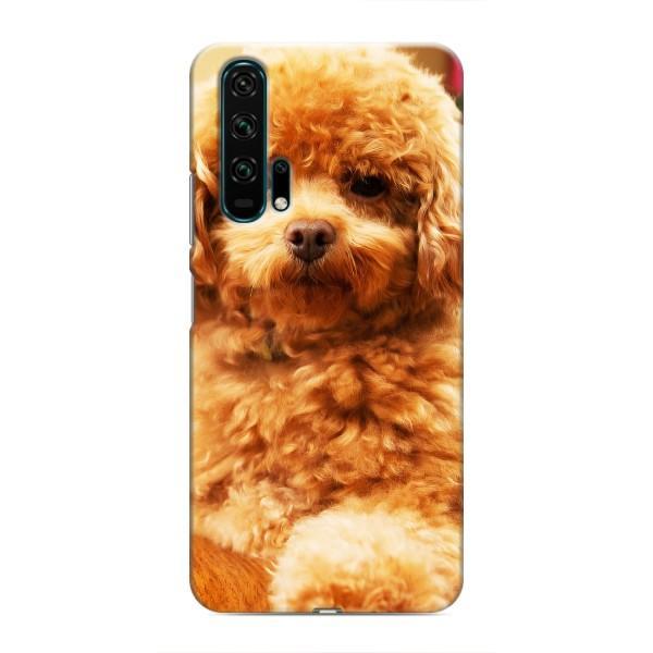 Чехлы с собаками для Huawei Honor 20 Pro (VPrint) – Щенок Бишон