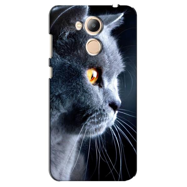 Чохли з Котиками для Huawei Honor 6c Pro (VPrint) – Сірий Кіт