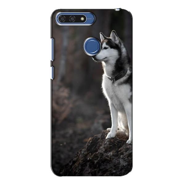 Чохол з Хаскі Huawei Honor 7A Pro - (AlphaPrint) – Вірний собака