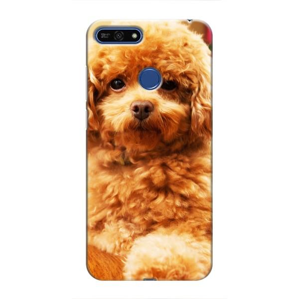 Чехлы с собаками для Huawei Honor 7A Pro (VPrint) – Щенок Бишон