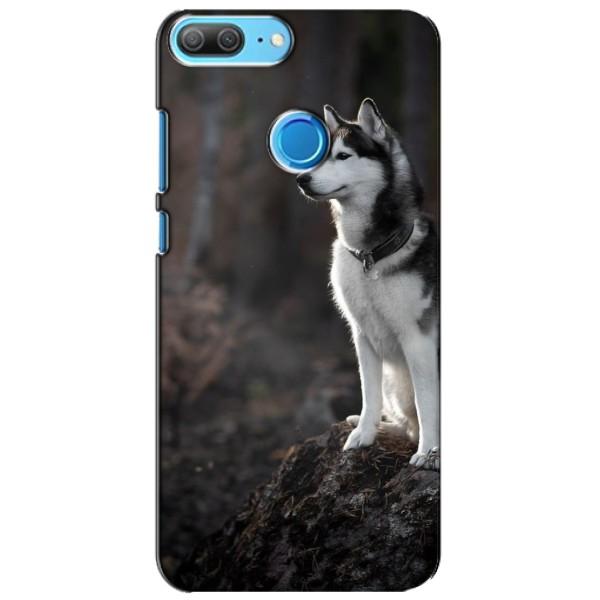 Чехол с Хаски для Huawei Honor 9 Lite - (AlphaPrint) – Верный пес