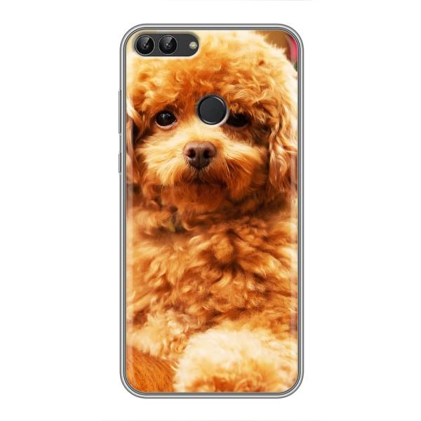 Чехлы с собаками для Huawei Honor 9 Lite (VPrint) – Щенок Бишон