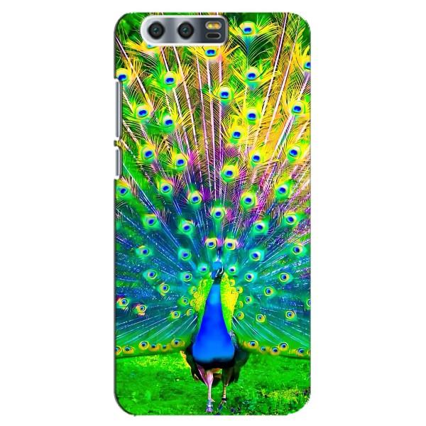 Чохол з пташками на Huawei Honor 9, Glory 9, STF (VPrint) – Яскравий Павлин