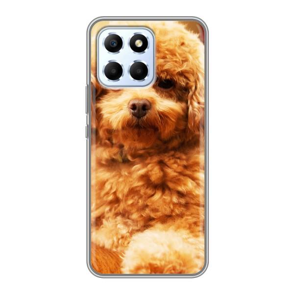 Чехлы с собаками для Huawei Honor X6 (VPrint) – Щенок Бишон