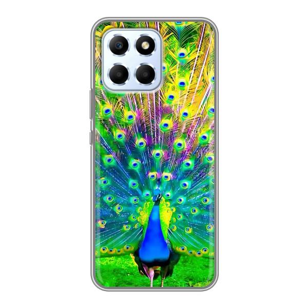 Чохол з пташками на Huawei Honor X6 (VPrint) – Яскравий Павлин