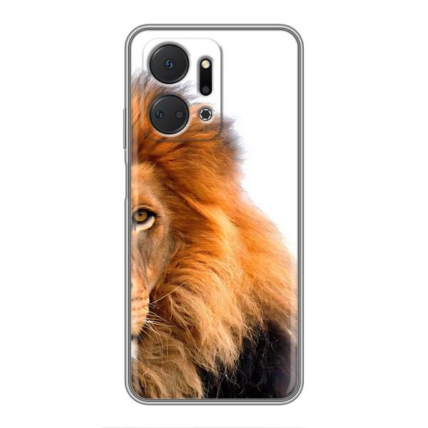 Чехлы с картинками животных Huawei Honor X7a – Лев грива