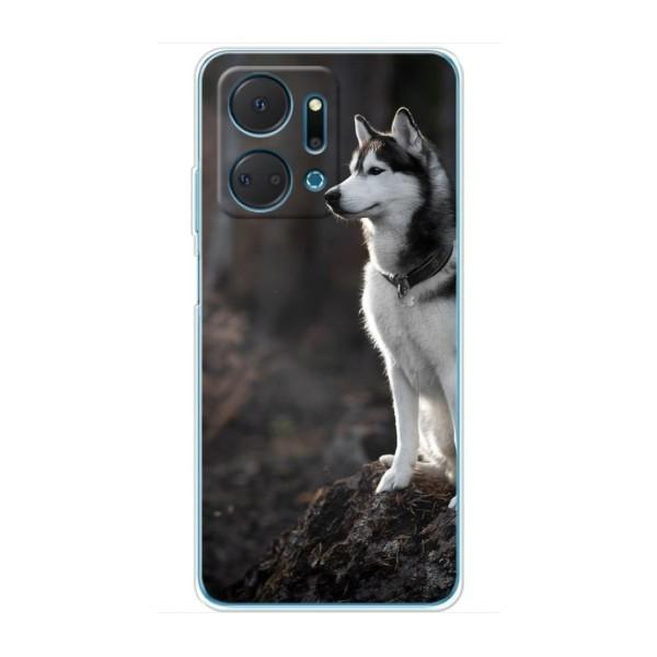 Чохол з Хаскі Huawei Honor X7a - (AlphaPrint) – Вірний собака