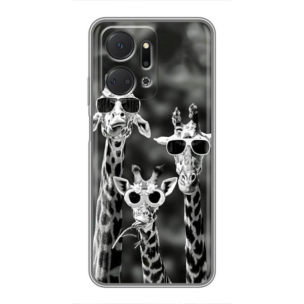 Силиконовый чехол с КАРТИНКАМИ лето для Huawei Honor X7a (AlphaPrint) – Жирафы в очках