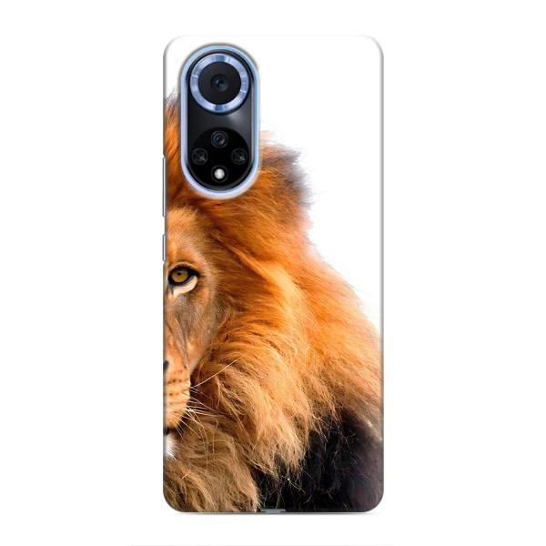 Чохли з картинкою животних Huawei Honor X7b – Лев грива