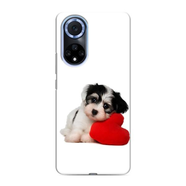 Чохли з собаками для Huawei Honor X7b (VPrint) – Песик