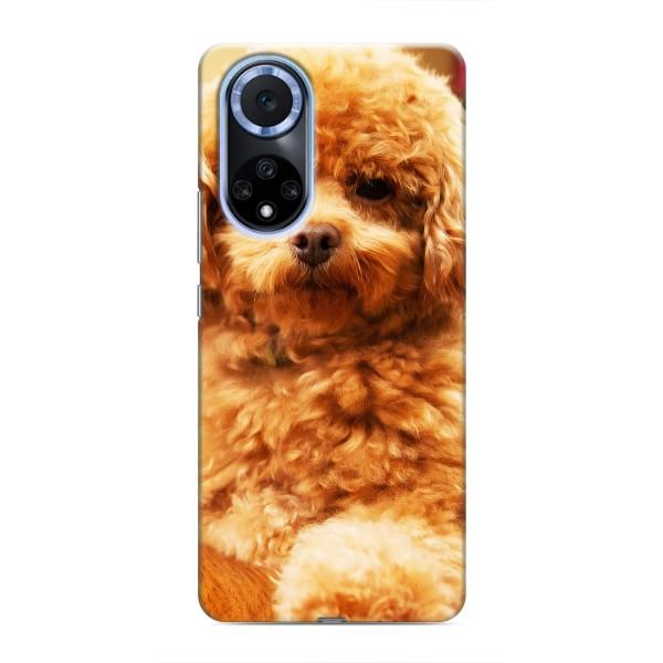 Чохли з собаками для Huawei Honor X7b (VPrint) – Цуценя Бішон