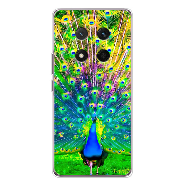 Чехол с птицами на Huawei Honor X9c (VPrint) – Яркий Павлин