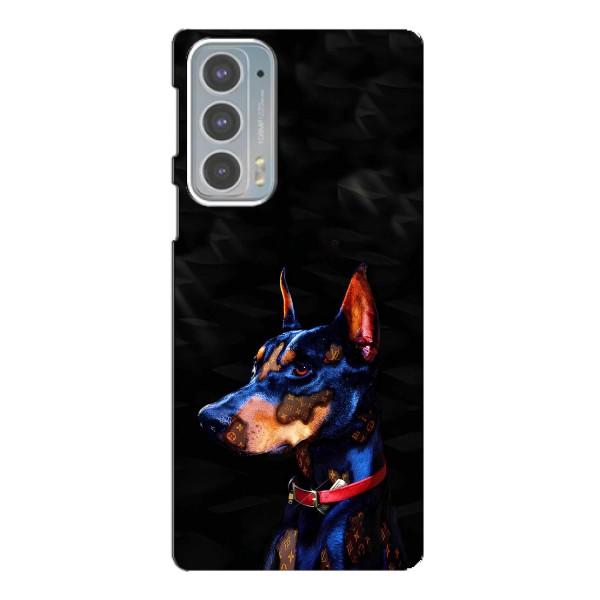 Чехлы с картинками животных Motorola Edge 20 – Собака