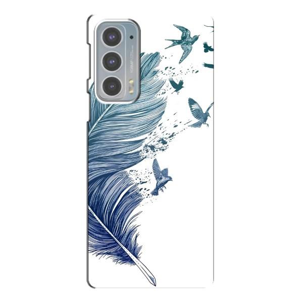 Чехол с картинкой (Стильные) для Мото Ейдж 20 - (AlphaPrint) – Перышко