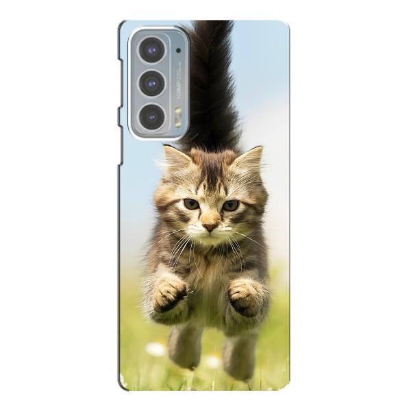 Чехлы с Котиками для Motorola Edge 20 (VPrint) – Прыжок кота