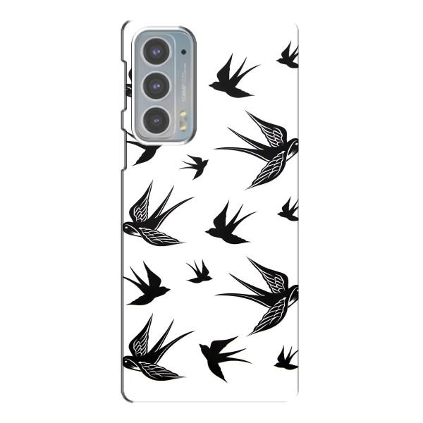 Чехол с птицами на Motorola Edge 20 (VPrint) – Ласточки