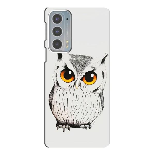 Чехол с птицами на Motorola Edge 20 (VPrint) – Милая Сова