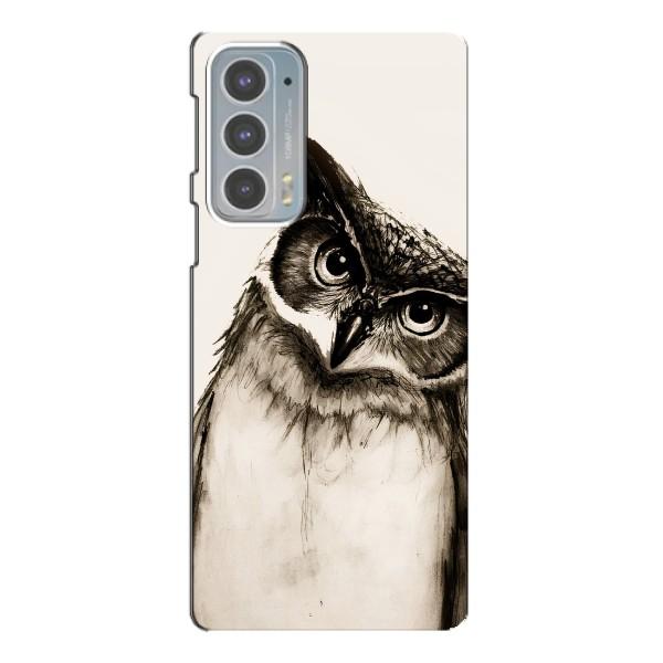 Чехол с птицами на Motorola Edge 20 (VPrint) – Сова
