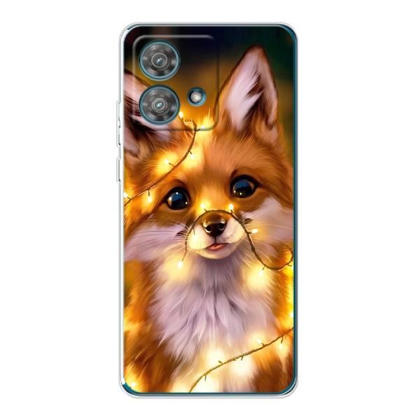 Чехлы с картинкой Лисички для Motorola Edge 40 Neo (VPrint) – Лисичка в гирляндах