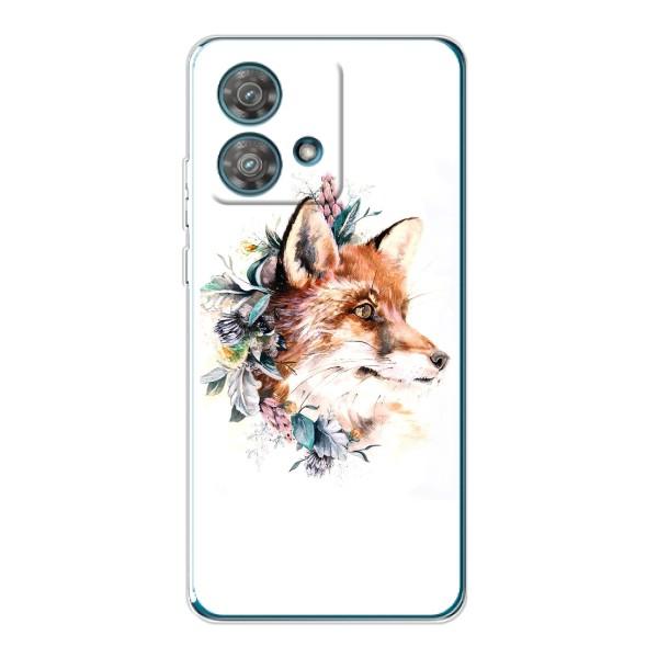Чехлы с картинкой Лисички для Motorola Edge 40 Neo (VPrint) – Лисичка в цветочках
