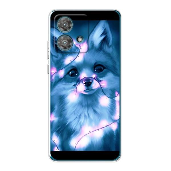 Чехлы с картинкой Лисички для Motorola Edge 40 Neo (VPrint) – Яркая лисичка