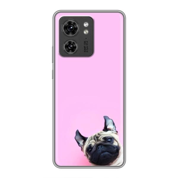 Чохли з собаками для Motorola Edge 40 Pro (VPrint) – Смішна собака