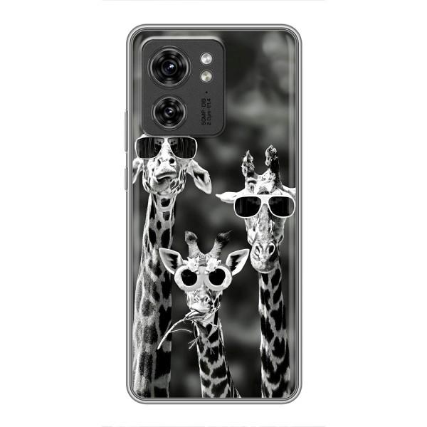 Силиконовый чехол с КАРТИНКАМИ лето для Motorola Edge 40 Pro (AlphaPrint) – Жирафы в очках