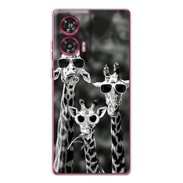 Силіконовий чохол з КАРТИНКАМИ літо для Motorola Edge 50 Fusion (AlphaPrint) – Жирафи в окулярах