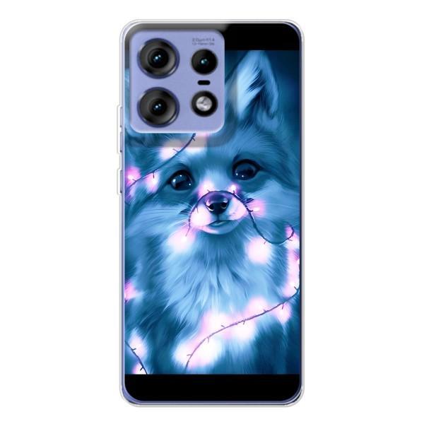 Чохли з картинкою Лисичка для Motorola Edge 50 Pro (VPrint) – Яскрава лисичка