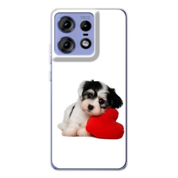 Чехлы с собаками для Motorola Edge 50 Pro (VPrint) – Песик