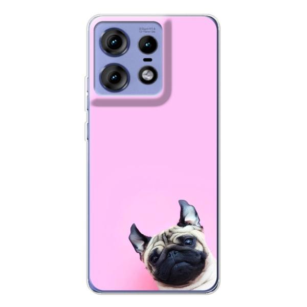 Чехлы с собаками для Motorola Edge 50 Pro (VPrint) – Смешная собака