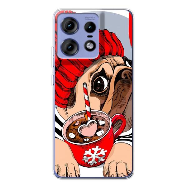 Чехлы с собаками для Motorola Edge 50 Pro (VPrint) – Собачка в шапке