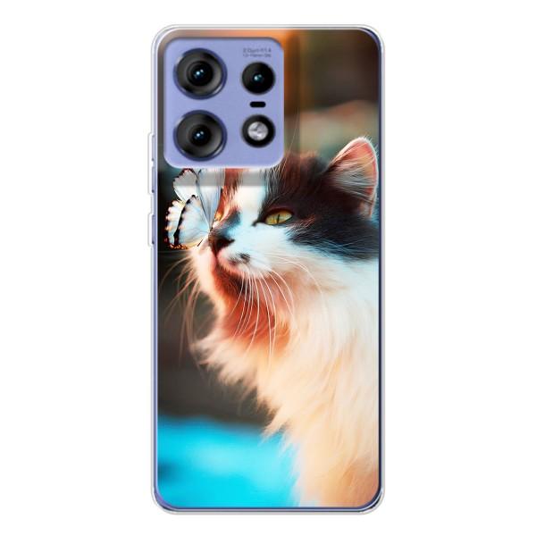 Чехол на Мото Ейдж 50 Про с Котами (VPrint) – Котик с бабочкой