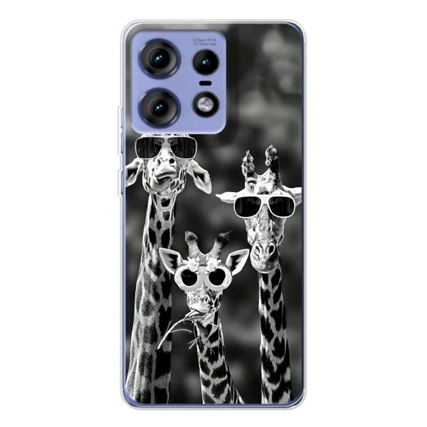 Силиконовый чехол с КАРТИНКАМИ лето для Motorola Edge 50 Pro (AlphaPrint) – Жирафы в очках