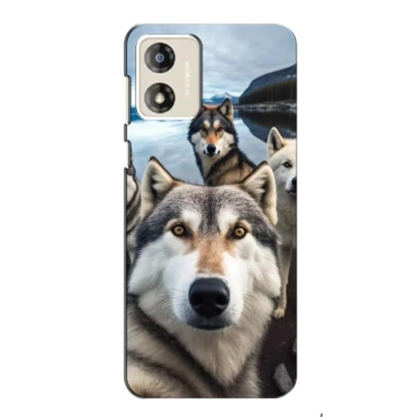 Чехол с Хаски для Motorola MOTO E13 - (AlphaPrint) – Селфи ХАски
