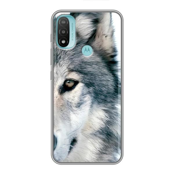 Чехлы с картинками животных Motorola MOTO E20 – Волк