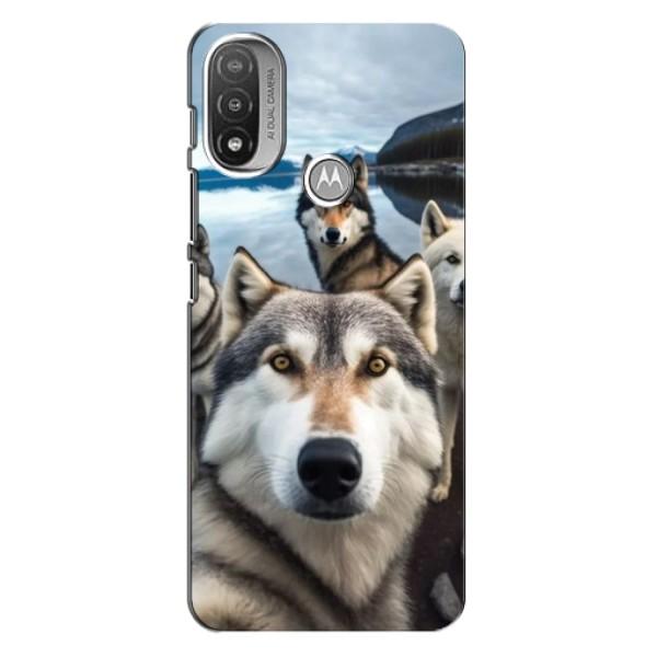 Чохол з Хаскі Motorola Moto E20 - (AlphaPrint) – Селфі Хаскі