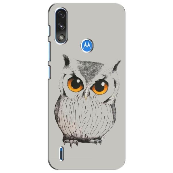 Чохол з пташками на Motorola Moto E7i / E7 Power (VPrint) – Мила Сова