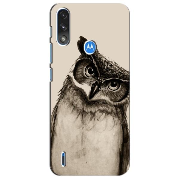 Чохол з пташками на Motorola Moto E7i / E7 Power (VPrint) – Сова