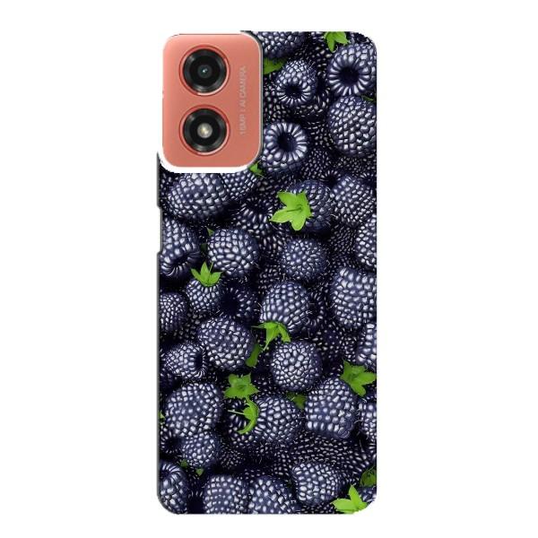Чехлы с Фруктами для Motorola MOTO G04 (VPrint) – Ежевика