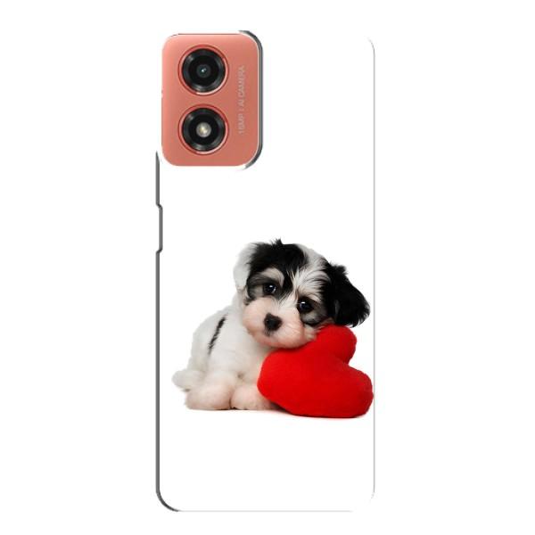 Чохли з собаками для Motorola MOTO G04 (VPrint) – Песик