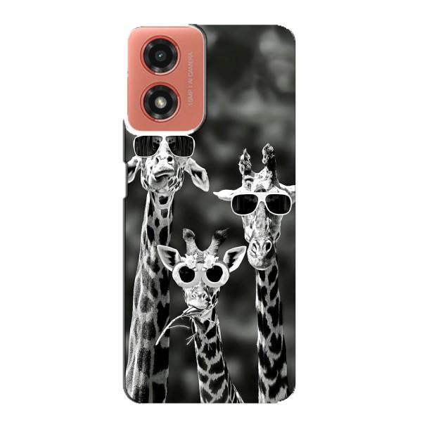 Силиконовый чехол с КАРТИНКАМИ лето для Motorola MOTO G04 (AlphaPrint) – Жирафы в очках