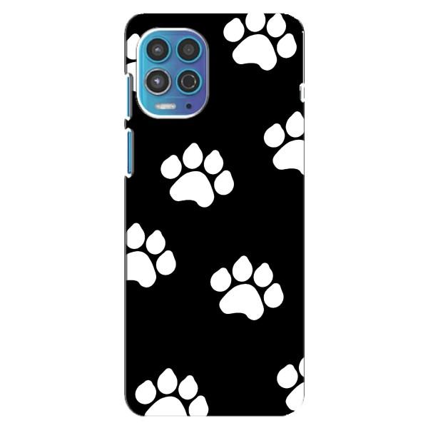 Чохли з собаками для Motorola MOTO G100 (VPrint) – Сліди собаки