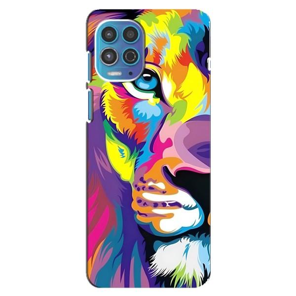 Чохол з картинкою ЛЕВ для Motorola MOTO G100 (VPrint) – Яскравий Лев